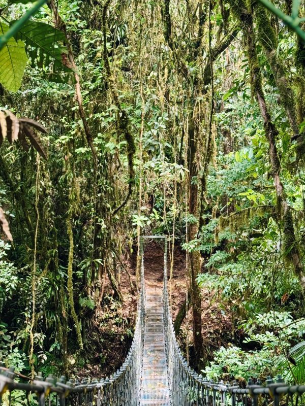 A58C8DBE-117B-4E3D-8086-97AC5030EABB