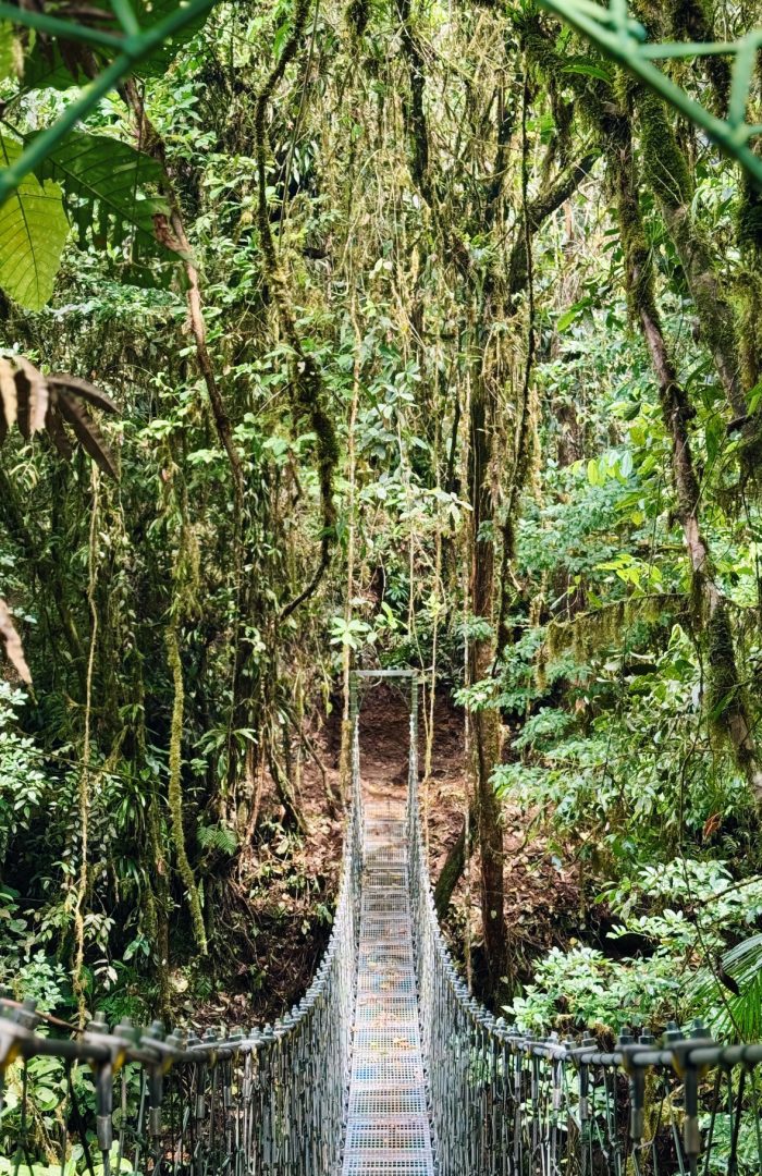 A58C8DBE-117B-4E3D-8086-97AC5030EABB