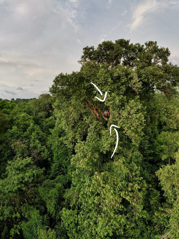dji_fly_20230321_54048 PM_809_1679444842218_pano