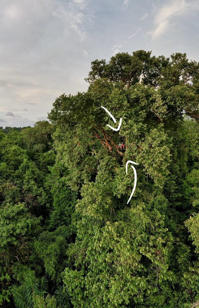 dji_fly_20230321_54048 PM_809_1679444842218_pano