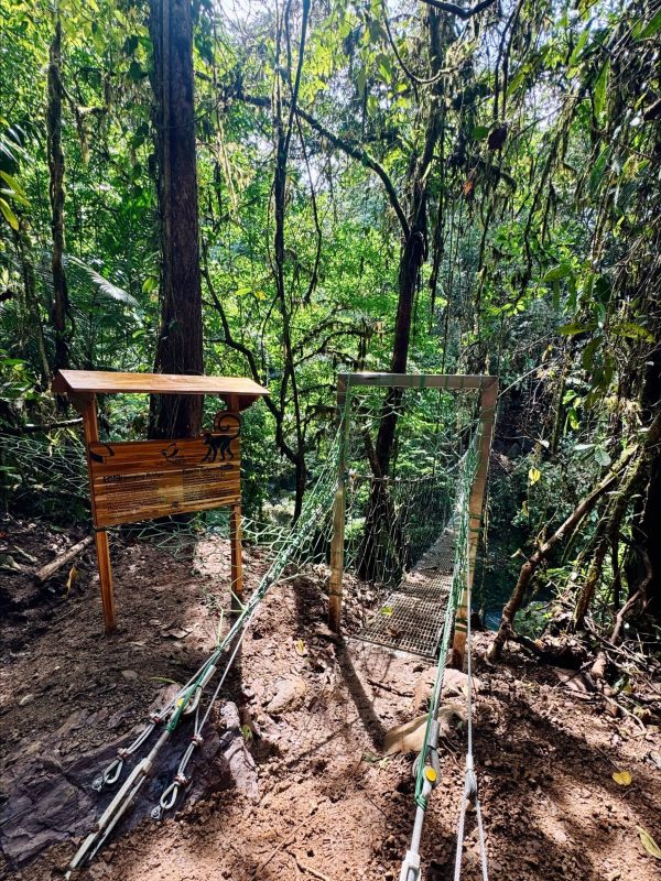 LikeAPPro_1762813616208