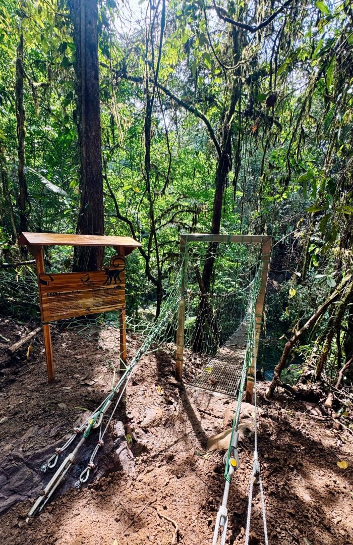 LikeAPPro_1762813616208