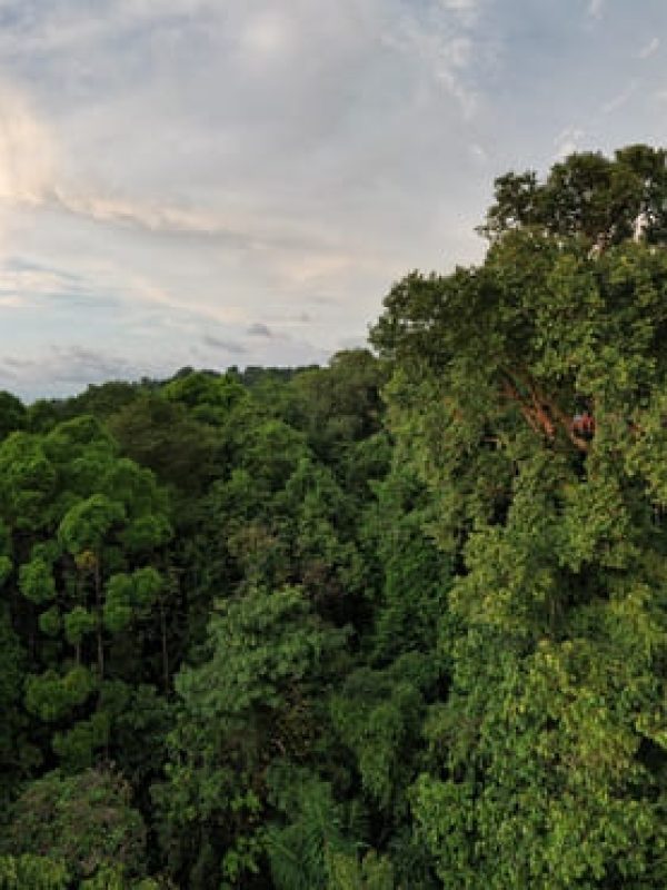 dji_fly_20230321_54048 PM_809_1679444842218_pano