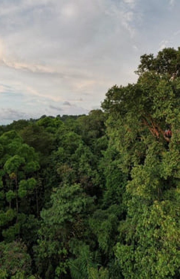 dji_fly_20230321_54048 PM_809_1679444842218_pano